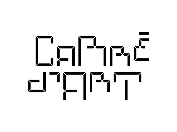 02_logotypes-carre_dart